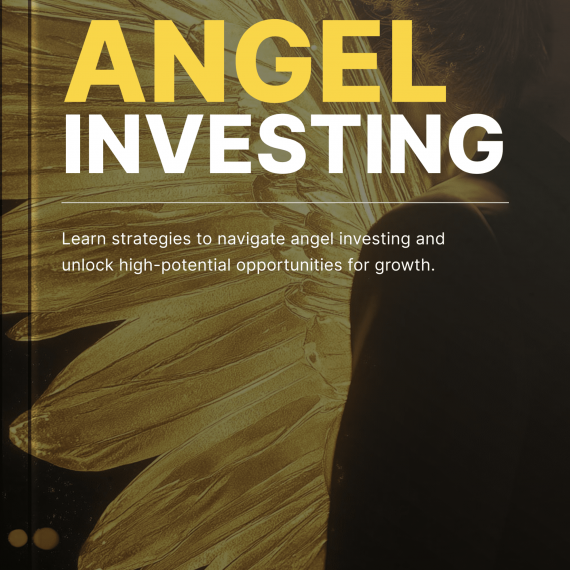 Angel Investing - Book