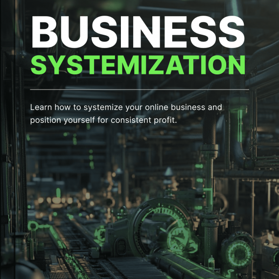 Business Systemization - Book
