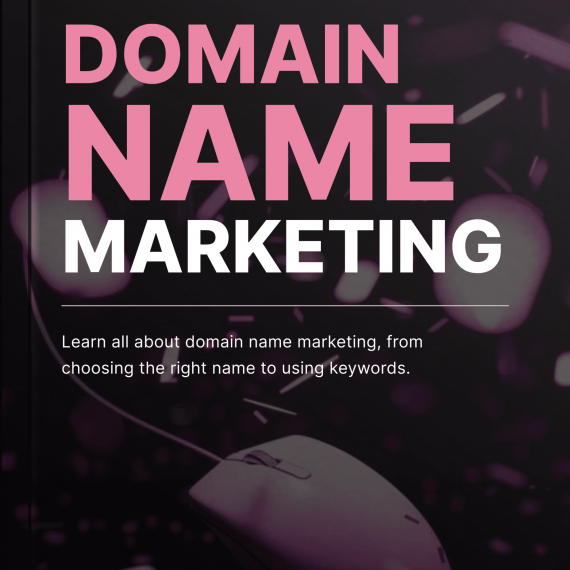 Domain Name Marketing - Book