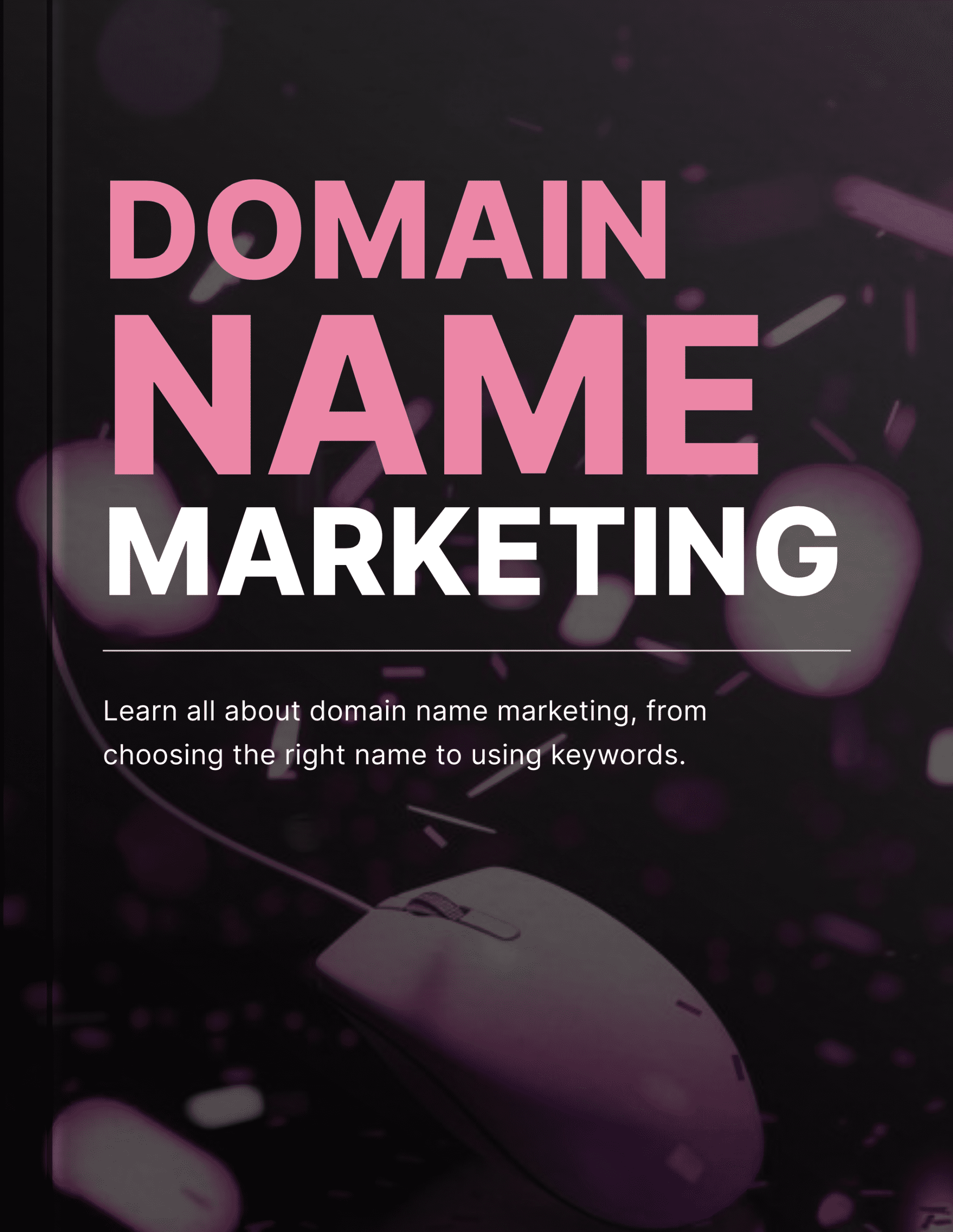 Domain Name Marketing - Book