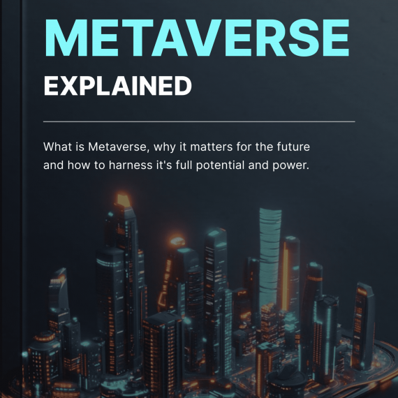 Metaverse Explained - Book