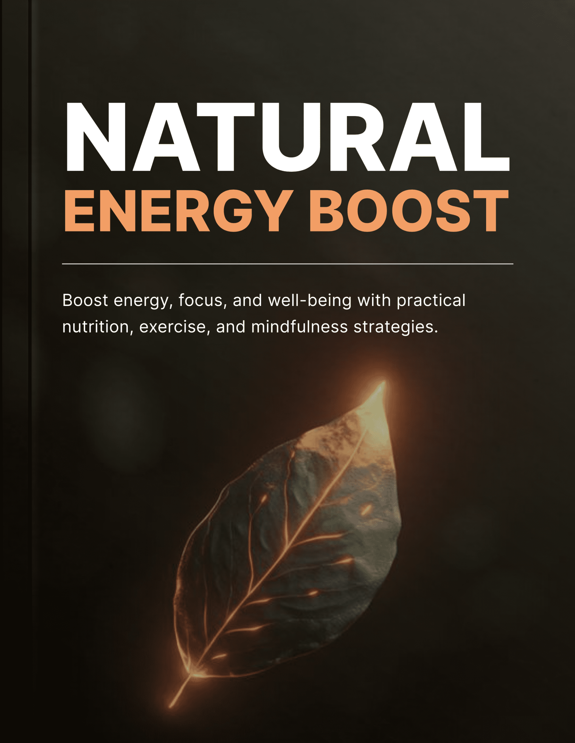 Natural Energy Boost - Book