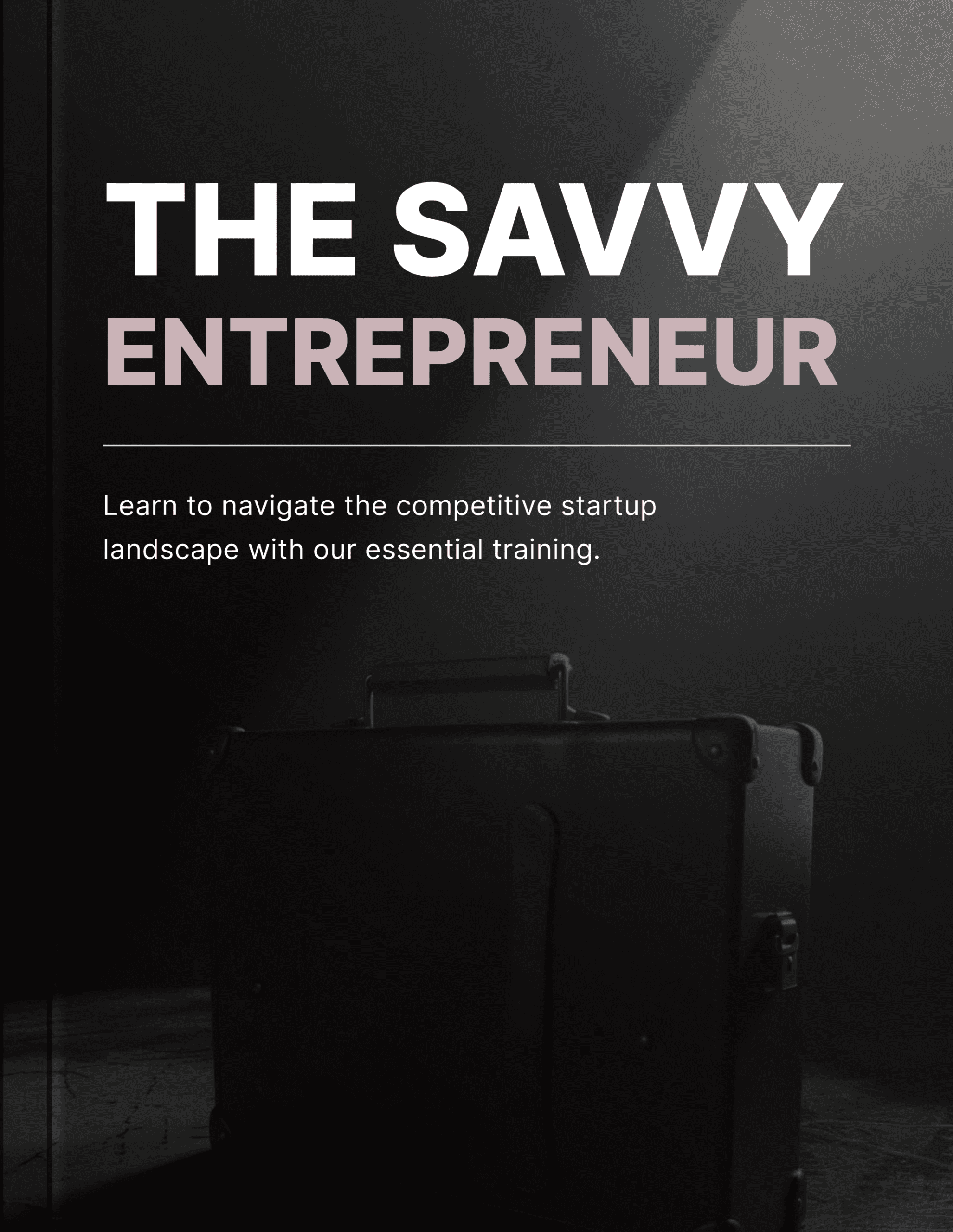 The Savvy Entrepreneur - Book