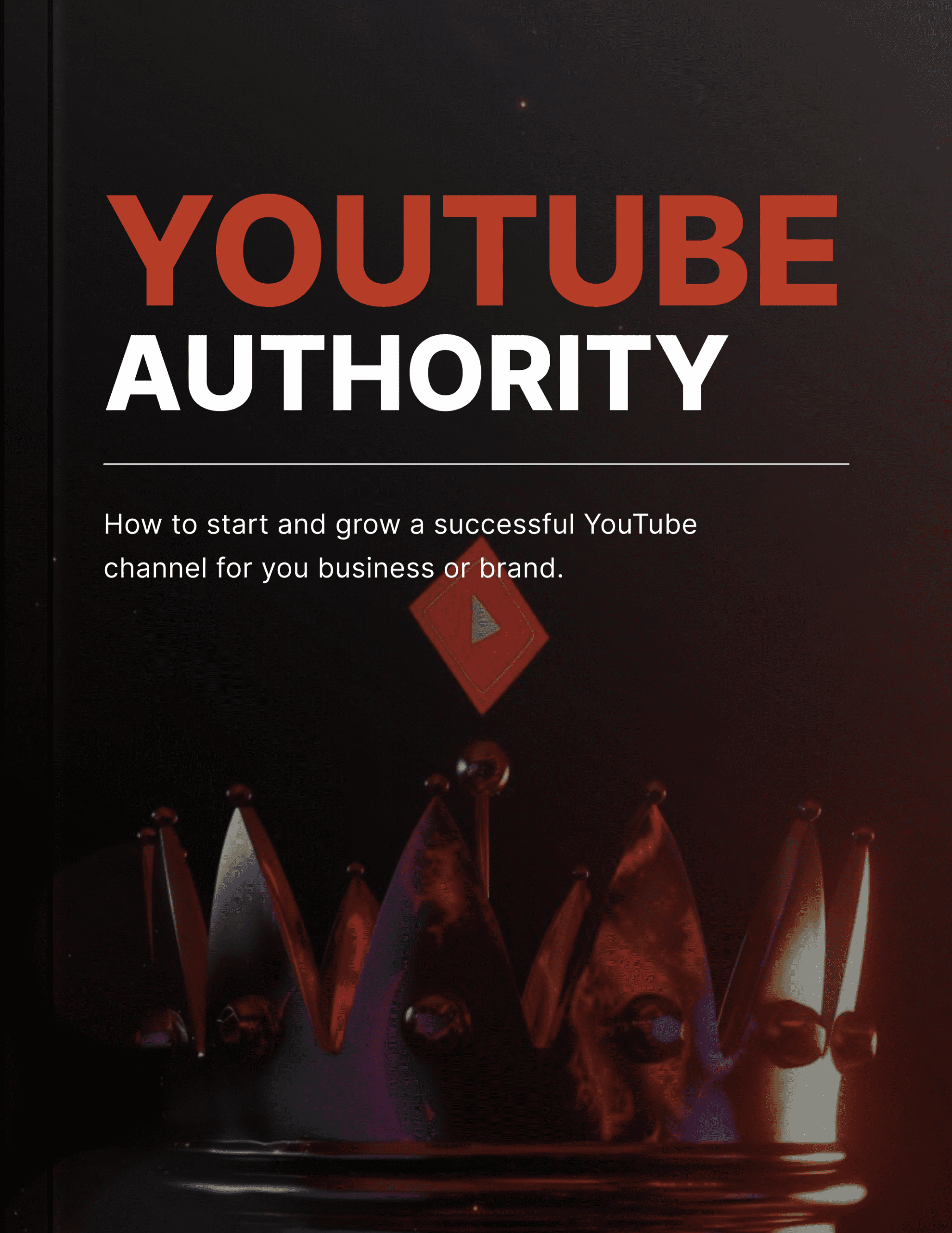 YouTube Authority - Book