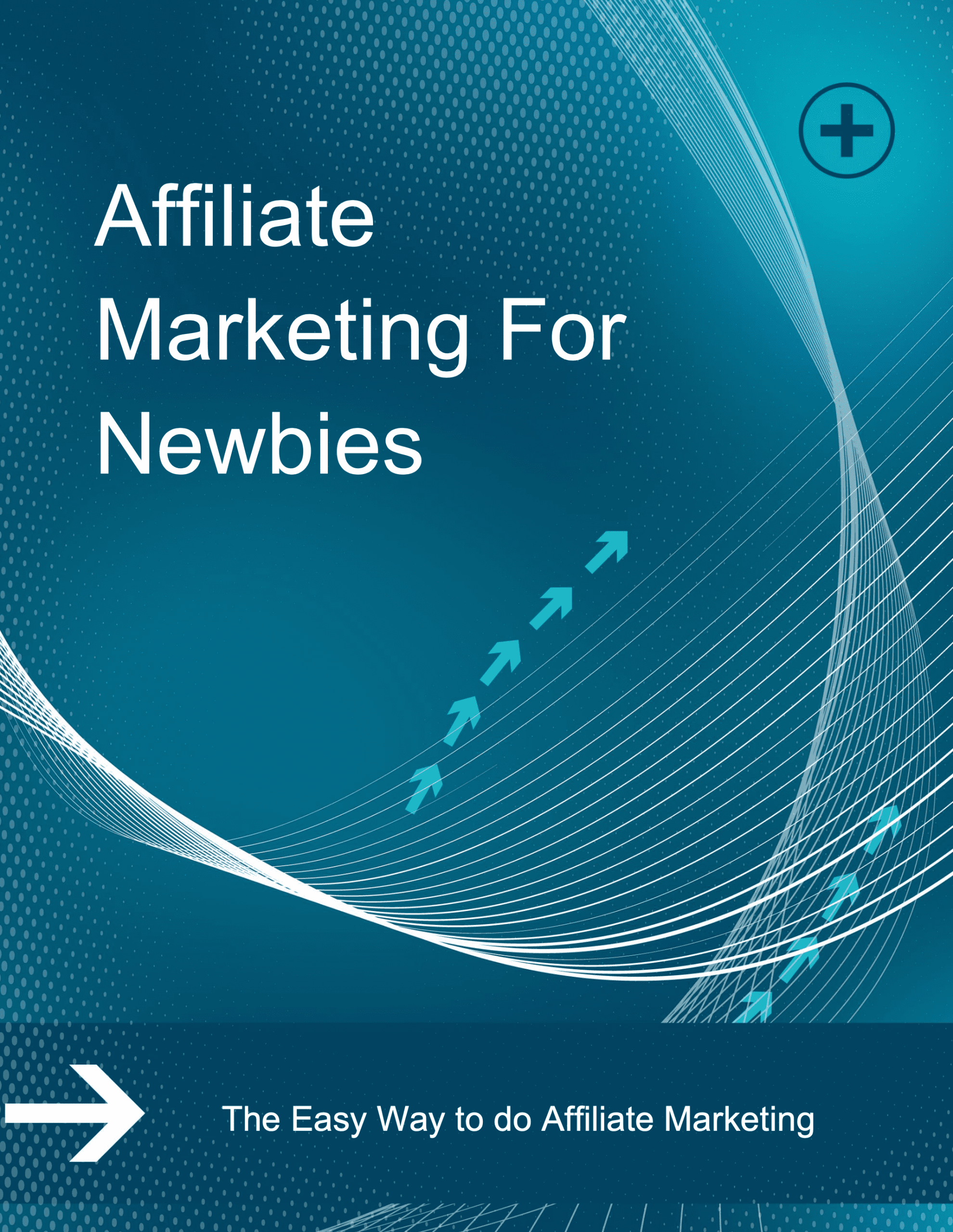 Affiliate Marketing For Newbies