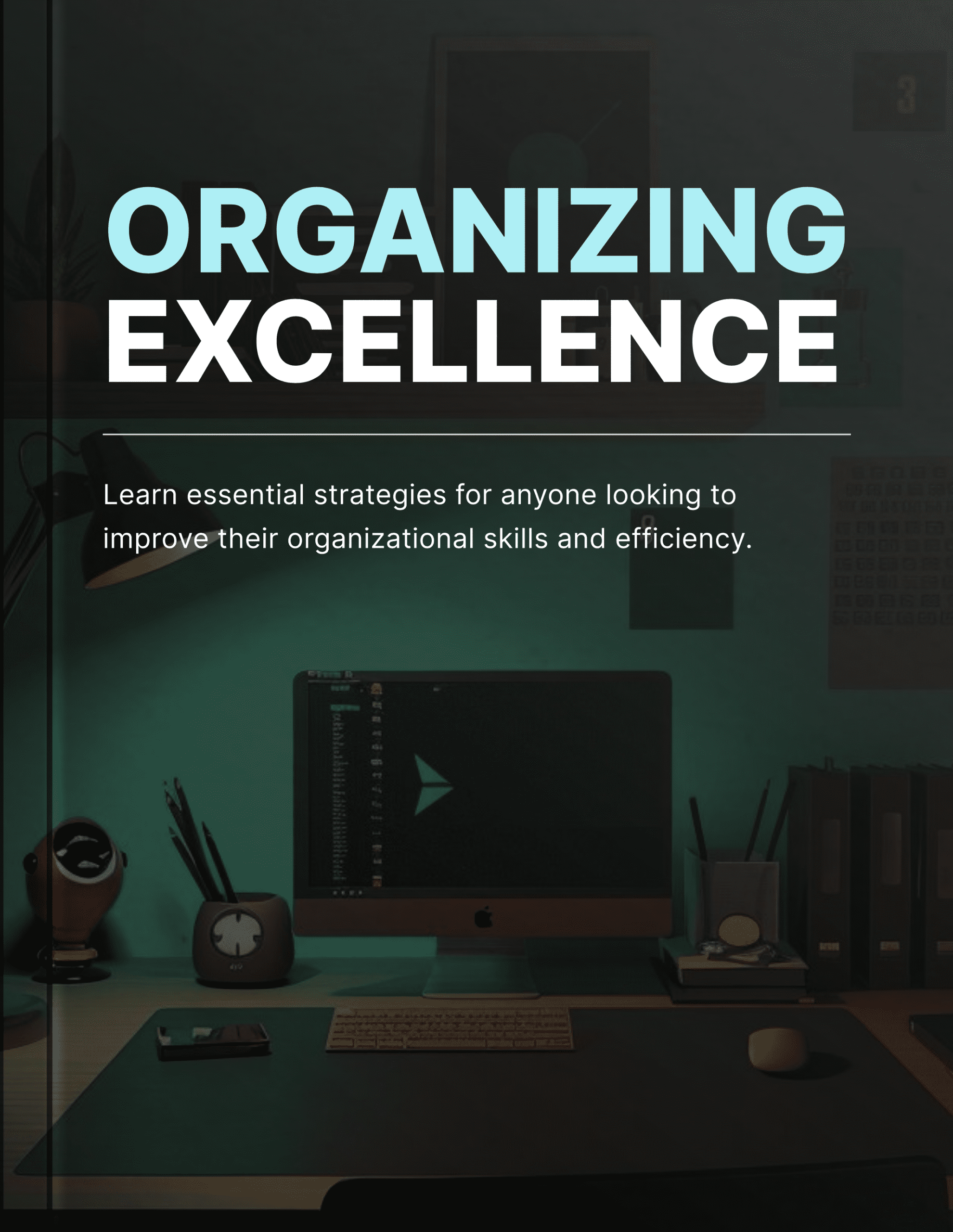 Organizing Excellence - Book